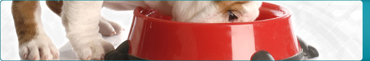 BannerBackground